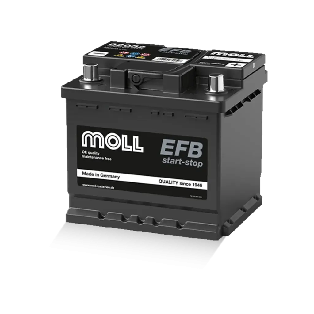 Moll EFB L1 82052