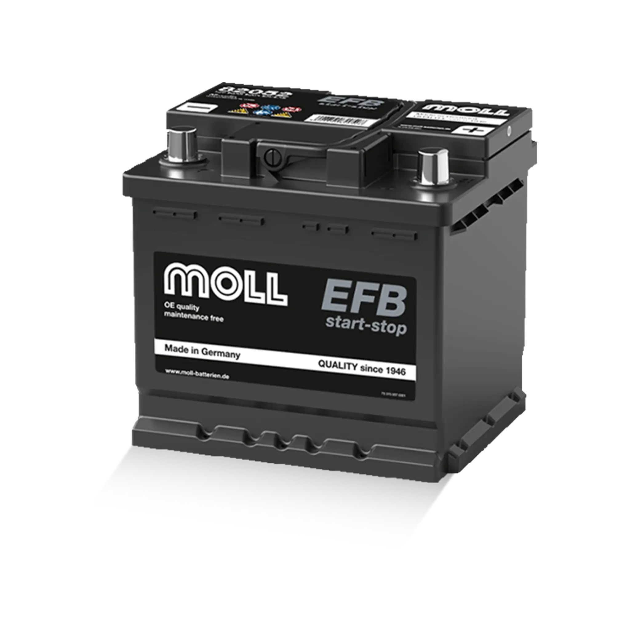 Moll EFB L1 82052